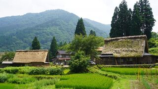 お勧めは展望所かな