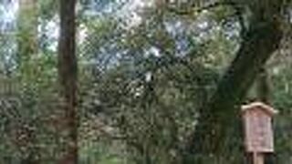 島路川にかかる橋を越えた先にあるお宮