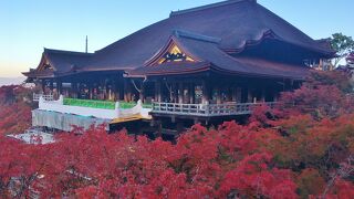 紅葉ライトアップと早朝のお参り