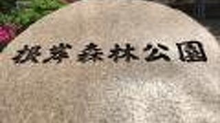 高台にある広い公園