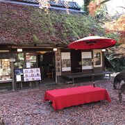 紅葉と鹿と茅葺の屋根に赤い傘