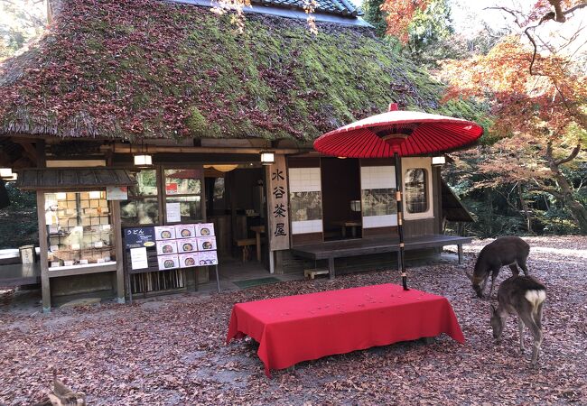 水谷茶屋 クチコミ アクセス 営業時間 奈良市 フォートラベル 水谷茶屋 クチコミ アクセス 営業時間 奈良市 フォートラベル