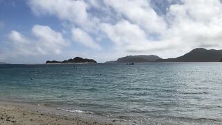 海亀が見えるかも？だけど