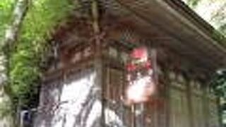 神秘的なお姿に感動