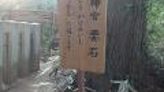 旧参道から見学がお勧め。