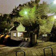 早朝まだ暗い時刻