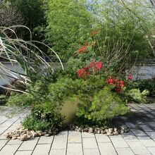 園内に入ると、このお洒落なオブジェ