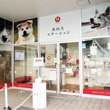 秋田犬ステーション