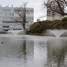 千秋公園に面してます～