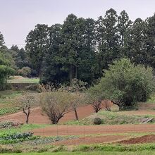 役所などが置かれていた地区は、農地や林になっている場所も。