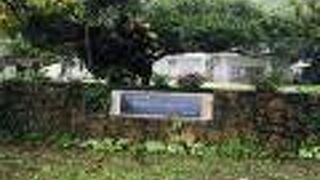 のぞいてみよう！