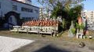 境内でくつろぐ猫の姿が印象的でした