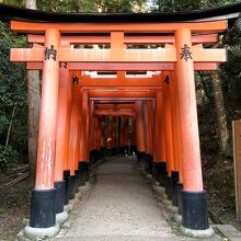 赤い鳥居がずっと続く