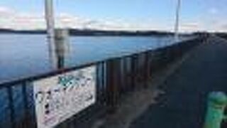 久しぶりに歩いてみた