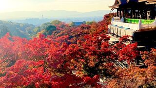 紅葉は絶景！