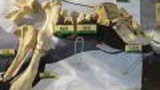 勉強になりました