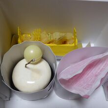 白色がマダガスカル