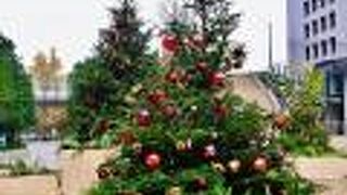 来るとちょっとだけセレブ気分♪