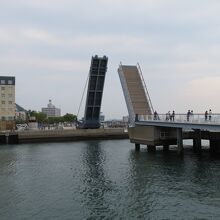 ブルーウィングもじ 