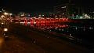 川の水面に映る姿も良かったです