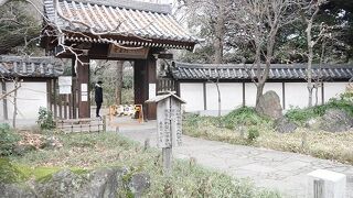 バードウォッチングが楽しめる場所