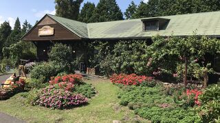 こじんまりとした花公園