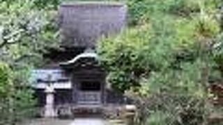 歴史の授業で学んだ舎利殿