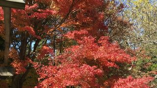 紅葉季節が綺麗