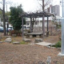 桜町湧水公園の片隅に、藤棚があり、横から湧水が出ています。