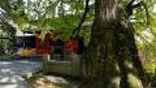 一見の価値がある美術館