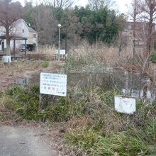 桜町湧水公園は、公園としての手入れが、必要かもしれません。