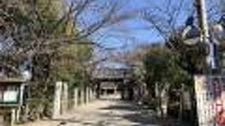 きれいに整備されています