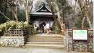 シンプルな建物。