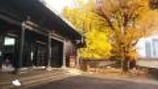 風格を感じる建物だった。