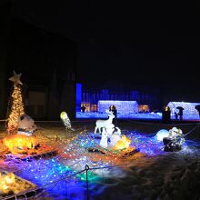 動物たちの集合～