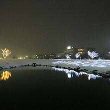 池沿いには「おやべイルミ2020」の文字。