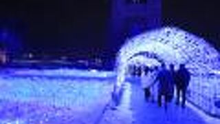 冬季限定の「おやべイルミ」を鑑賞しました。