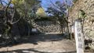 きれいに整備されています