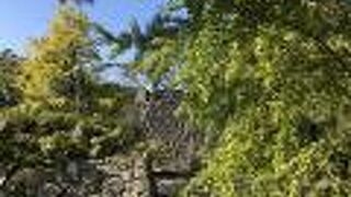 松阪城跡が公園になっています