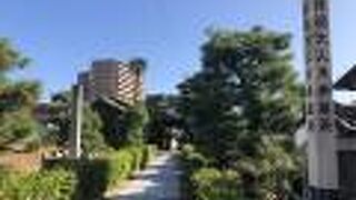 本居宣長のお墓があります