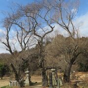 芭蕉ゆかりの地