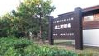 夏場はキャンプができます