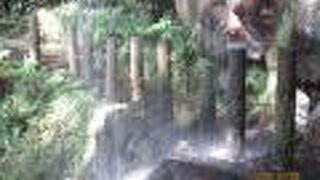 見事な滝がありました