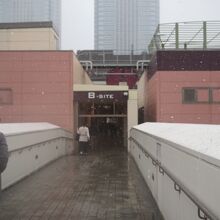 これが雨の日にはウザイ