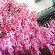 学問の神様