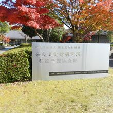 藤原宮跡資料室（奈良文化財研究所）