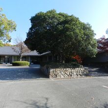 藤原宮跡資料室（奈良文化財研究所）