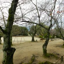 耳成山公園