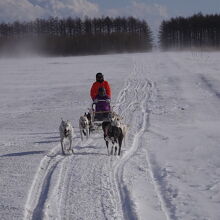雪煙を巻いて滑走するのは寒いけど爽快