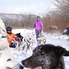 休憩時にはワンちゃんを褒めてあげます